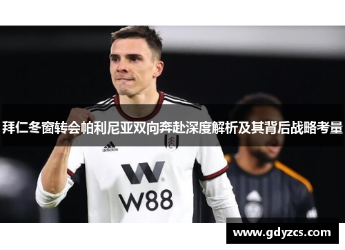 拜仁冬窗转会帕利尼亚双向奔赴深度解析及其背后战略考量