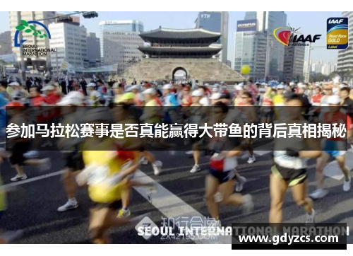 参加马拉松赛事是否真能赢得大带鱼的背后真相揭秘