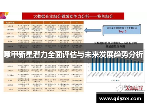 意甲新星潜力全面评估与未来发展趋势分析