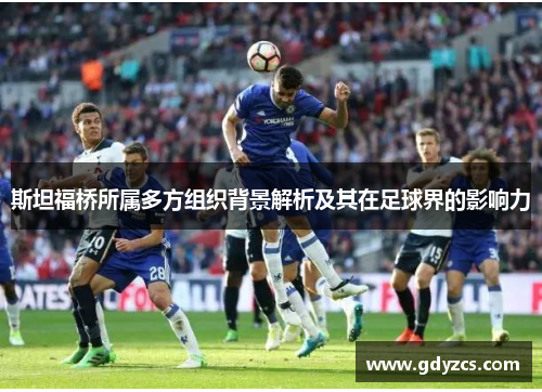 斯坦福桥所属多方组织背景解析及其在足球界的影响力